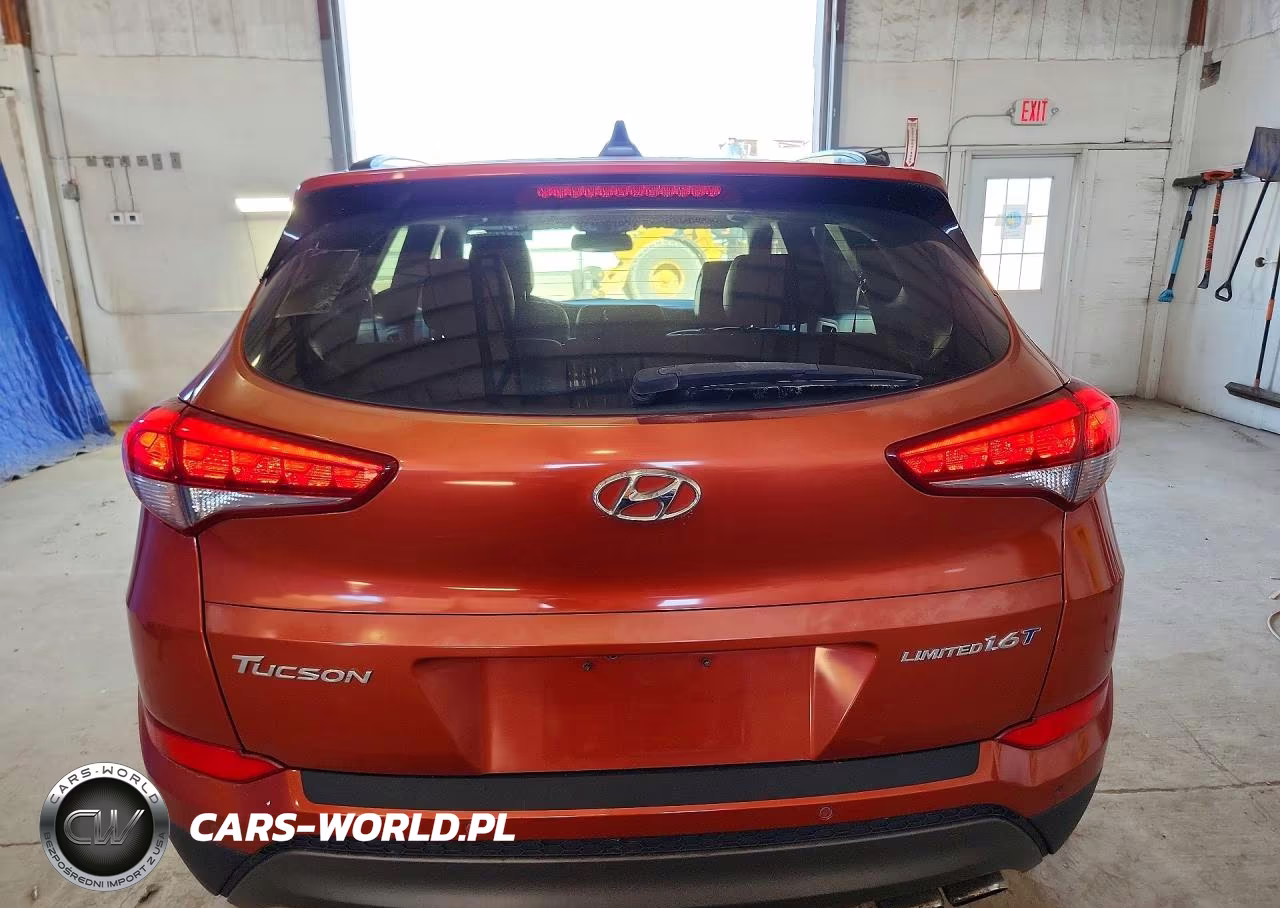 2016 Hyundai Tucson Limited VIN:KM8J33A20GU098958 - 6