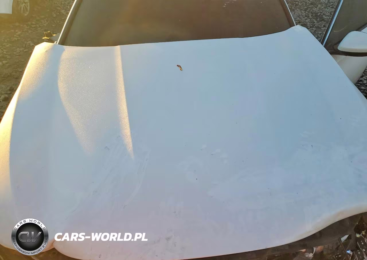 2021 Honda Accord Lx VIN:1HGCV1F17MA107424 - 11
