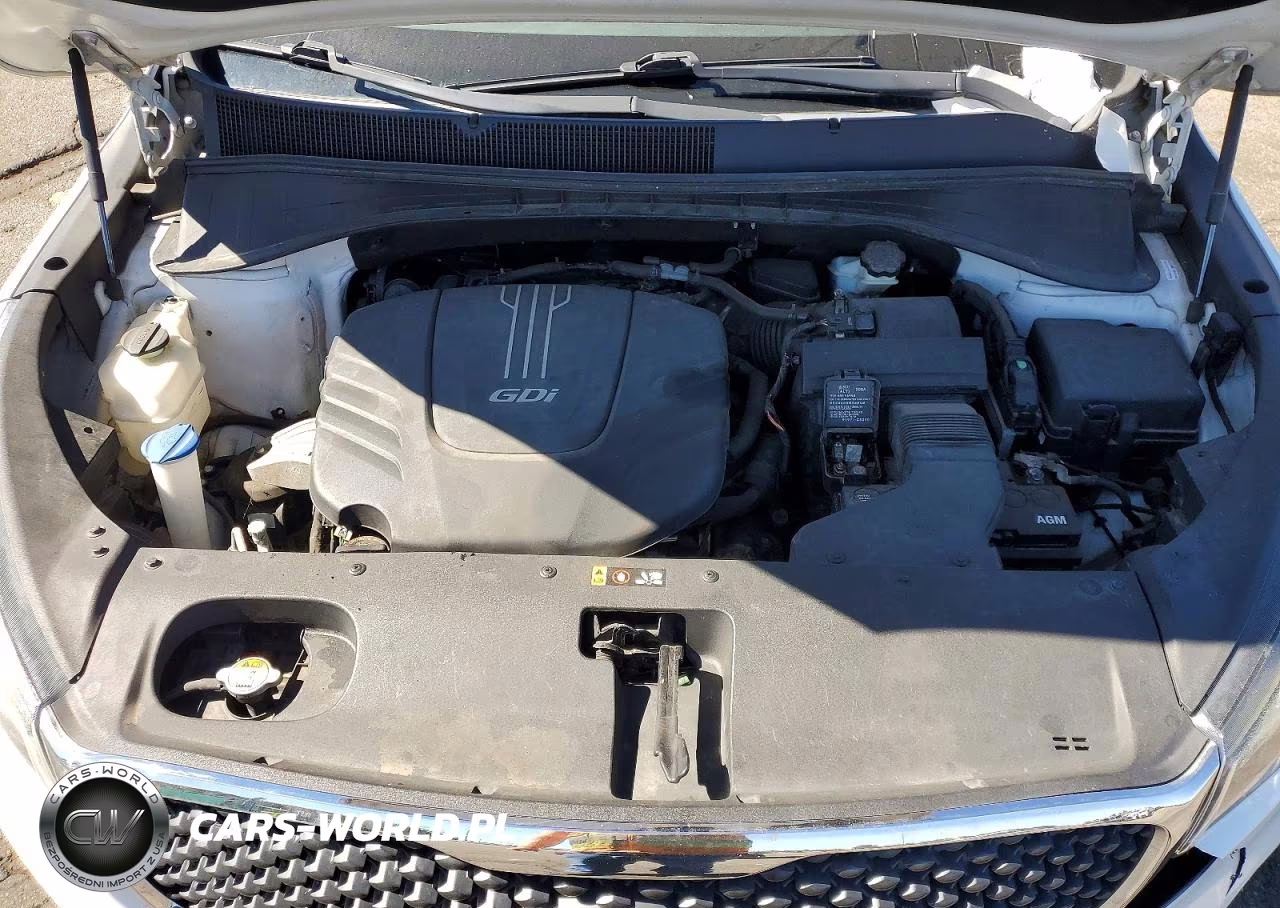 2016 Kia Sorento Lx V6 VIN:5XYPGDA53GG089210 - 12
