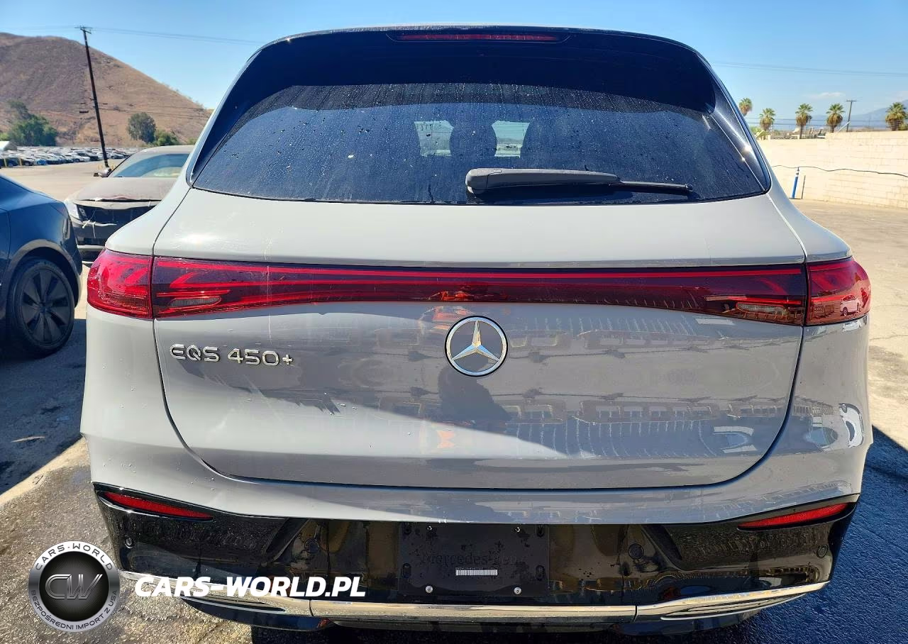 2023 Mercedes-Benz Eqs Suv 450+ VIN:4JGDM2DB6PA027491 - 6