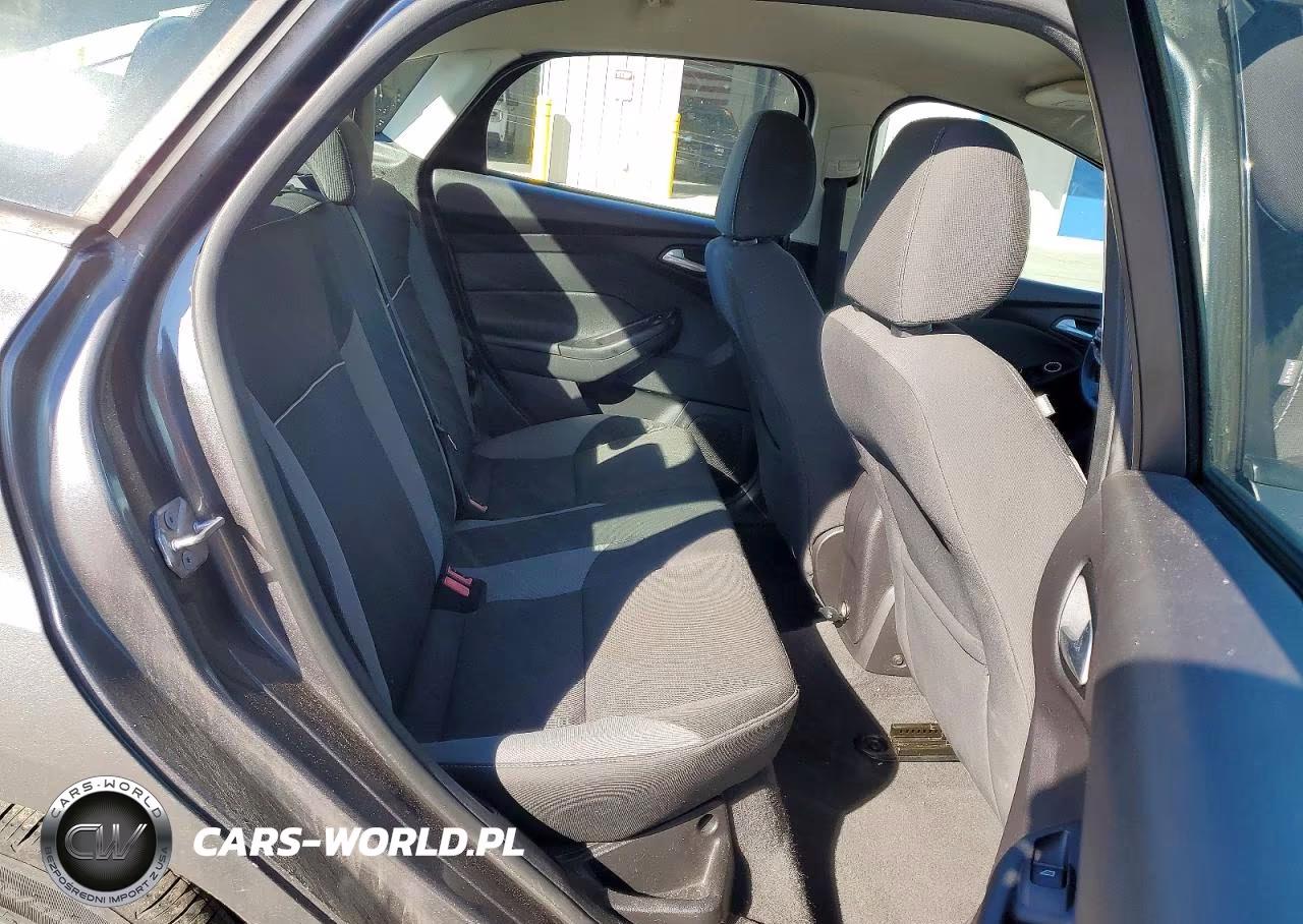 2014 Ford Focus Se VIN:1FADP3F21EL343869 - 10