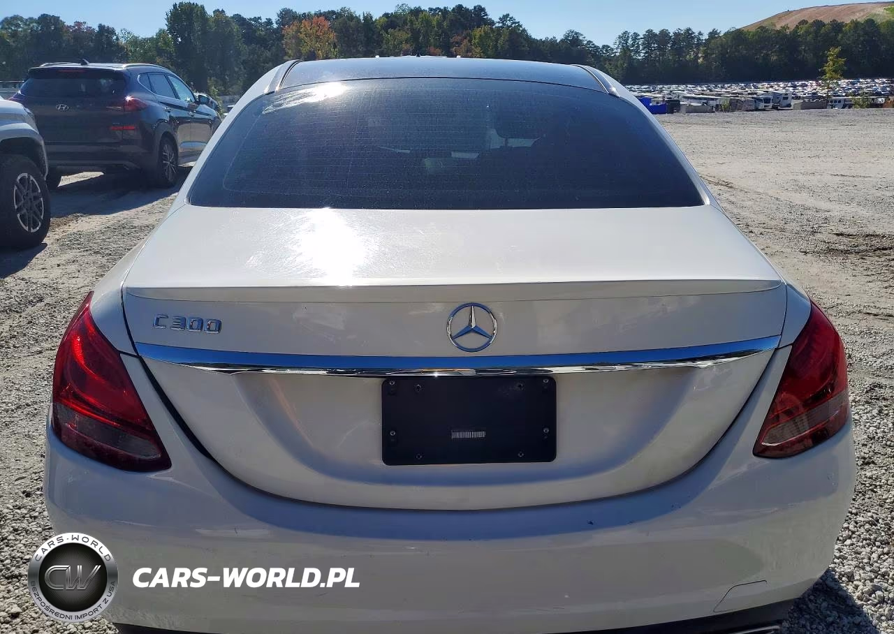 2016 Mercedes-Benz C 300 VIN:55SWF4JB7GU152481 - 6