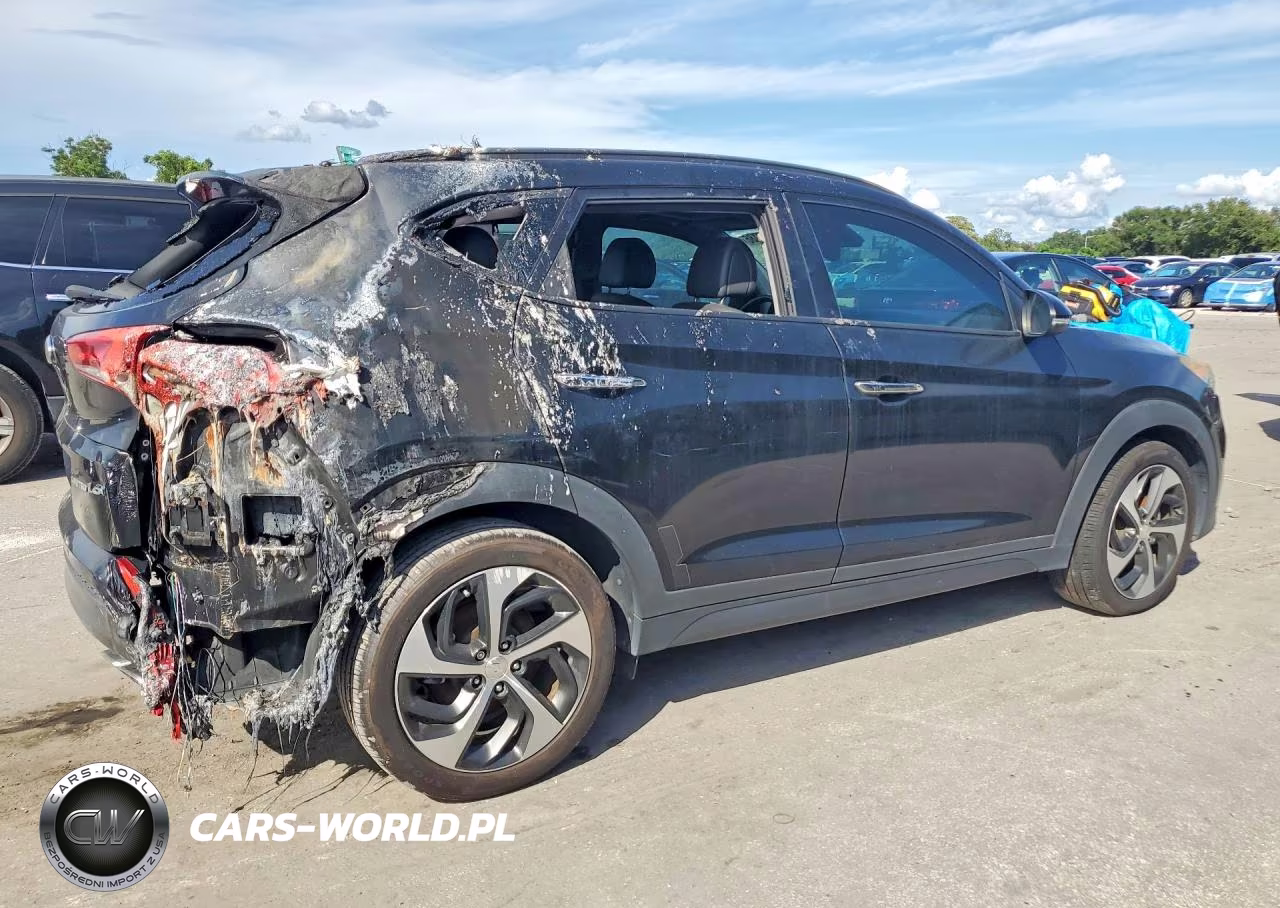 2016 Hyundai Tucson Limited VIN:KM8J33A24GU149376 - 3