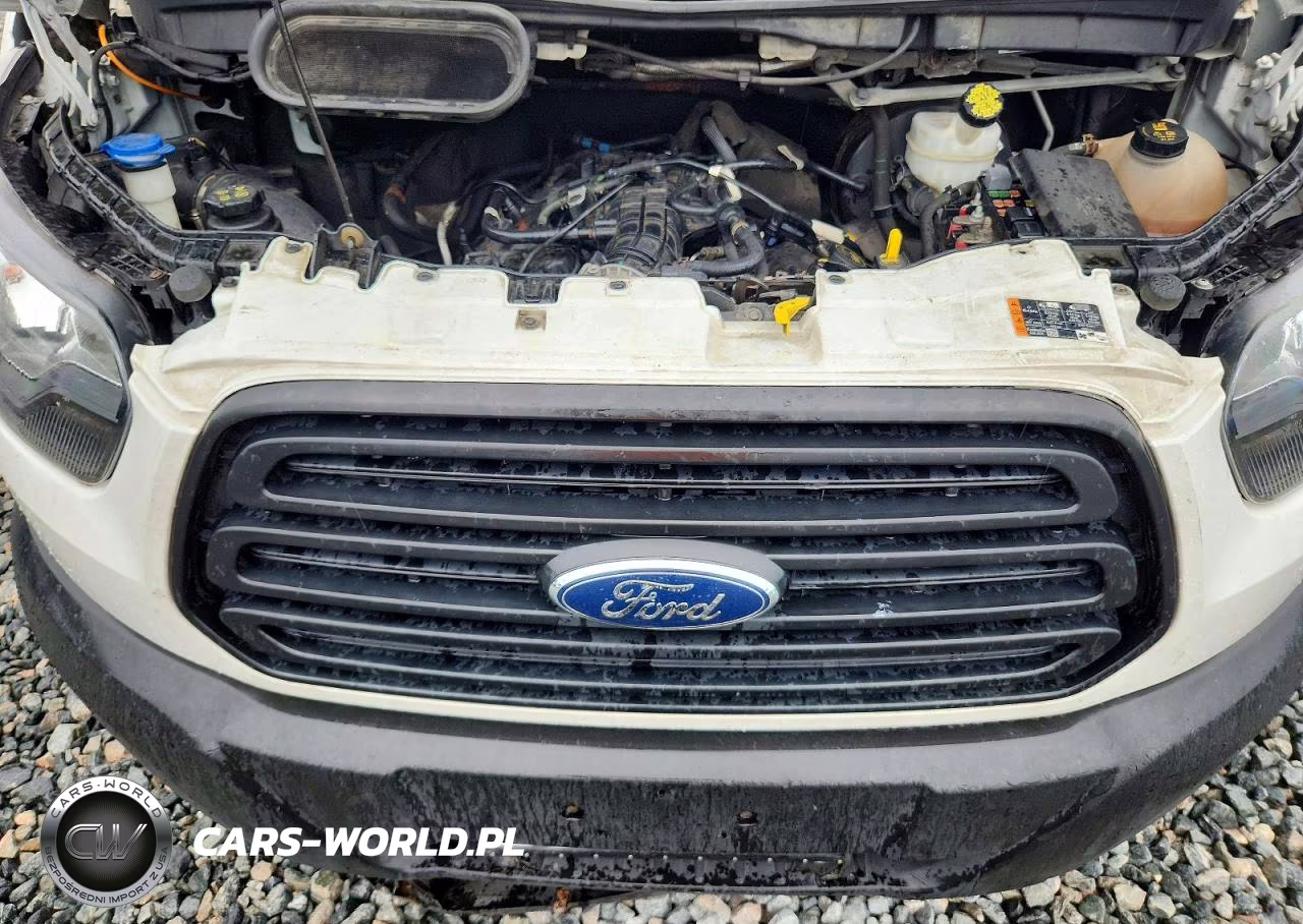 2019 Ford Transit 350 Delivery Van VIN:1FTBW3XG9KKA04065 - 12