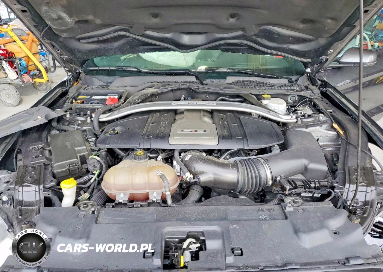 2019 Ford Mustang Gt VIN:1FA6P8CF1K5194800 - 11