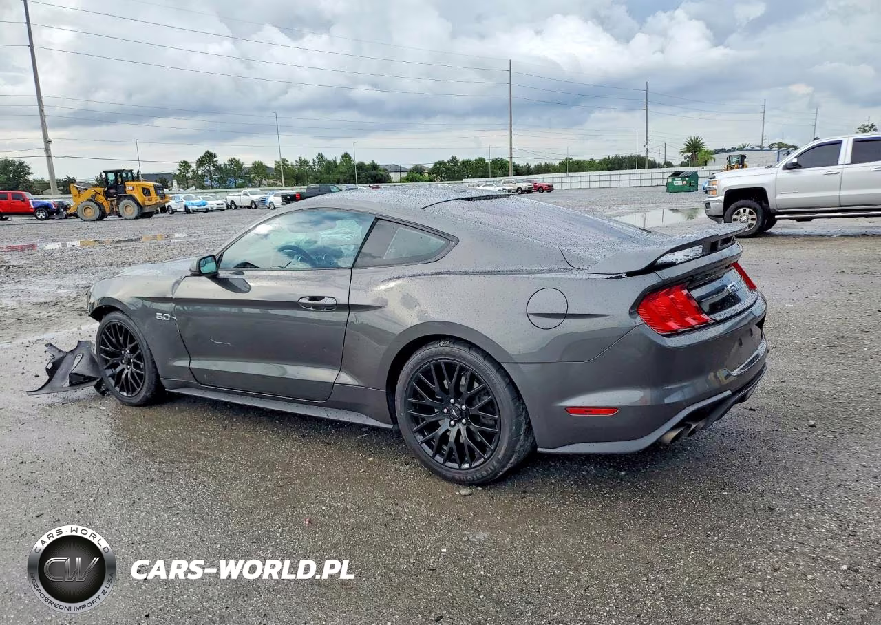 2019 Ford Mustang Gt VIN:1FA6P8CF1K5194800 - 2