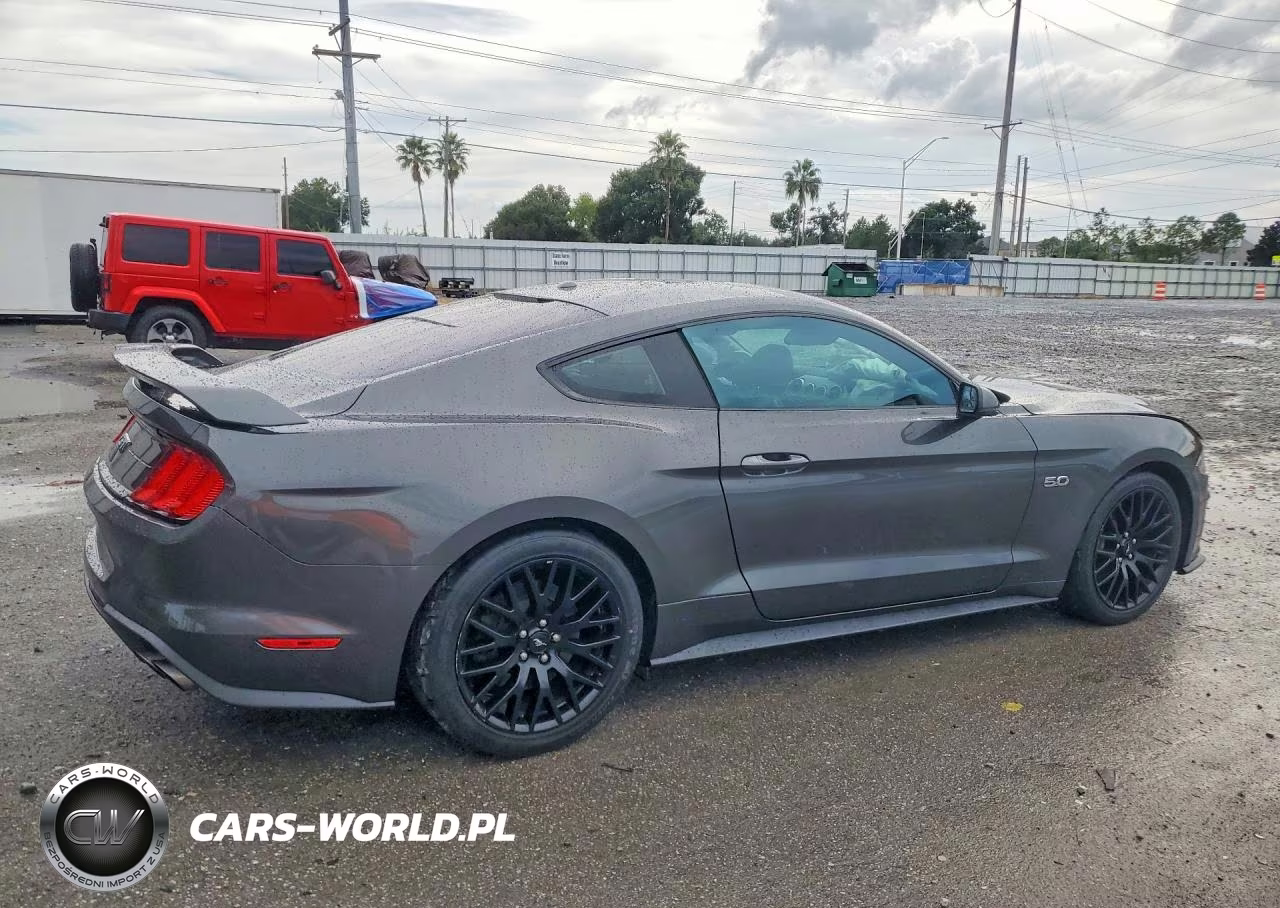 2019 Ford Mustang Gt VIN:1FA6P8CF1K5194800 - 3