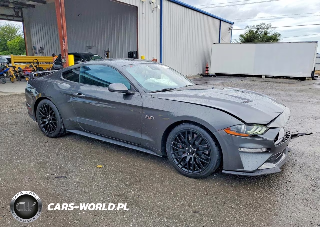2019 Ford Mustang Gt VIN:1FA6P8CF1K5194800 - 4