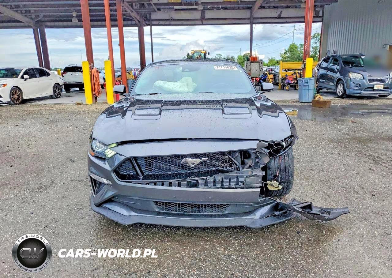 2019 Ford Mustang Gt VIN:1FA6P8CF1K5194800 - 5
