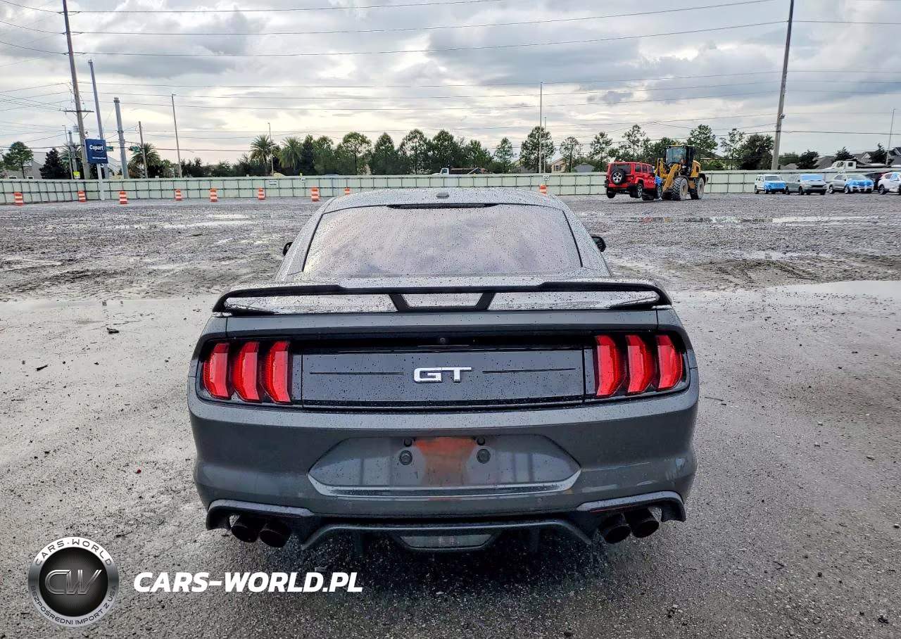 2019 Ford Mustang Gt VIN:1FA6P8CF1K5194800 - 6