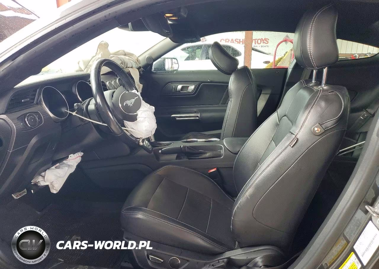 2019 Ford Mustang Gt VIN:1FA6P8CF1K5194800 - 7