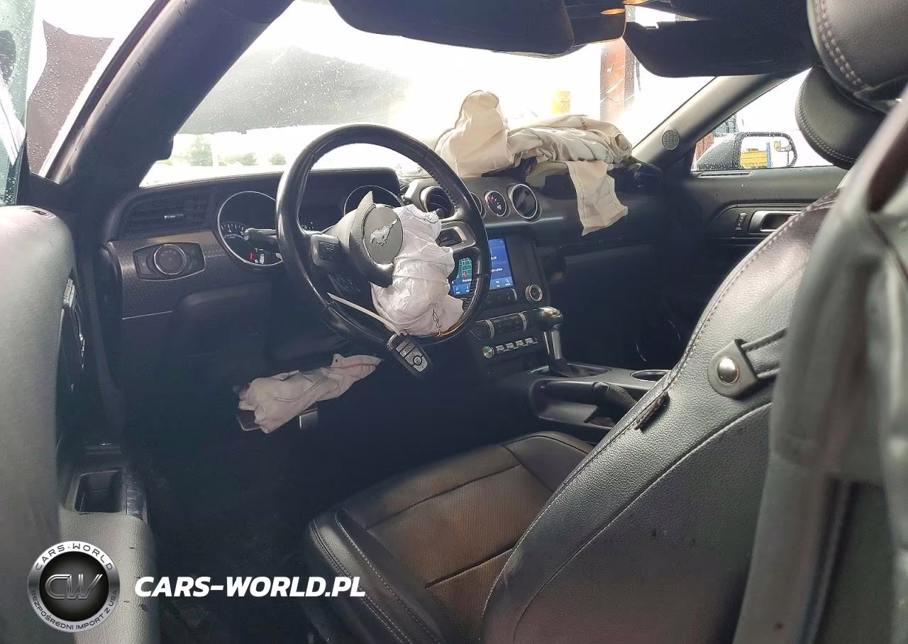 2019 Ford Mustang Gt VIN:1FA6P8CF1K5194800 - 8