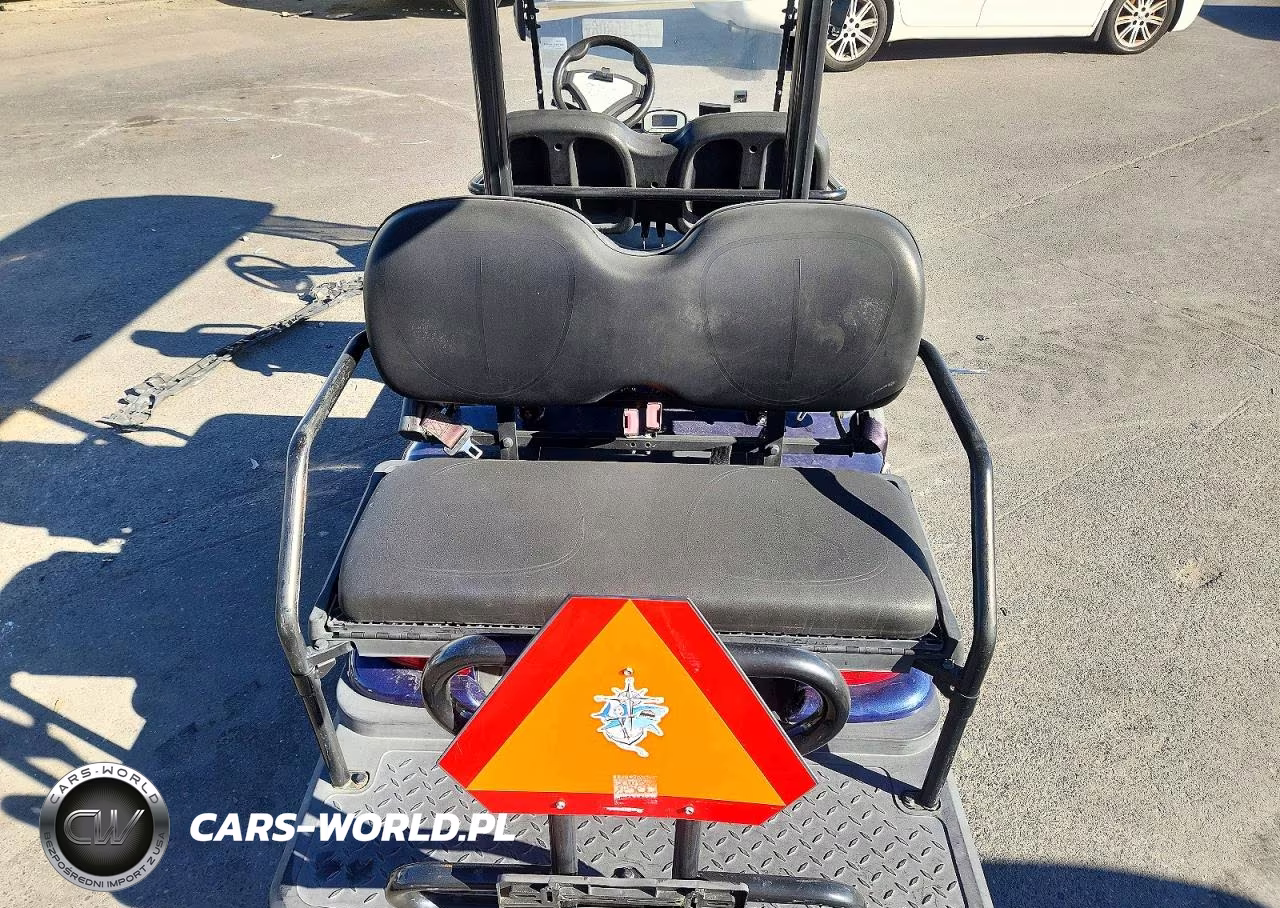 2022 Advanced Ev Golf Cart VIN:7LWDFAD0XN1078811 - 10