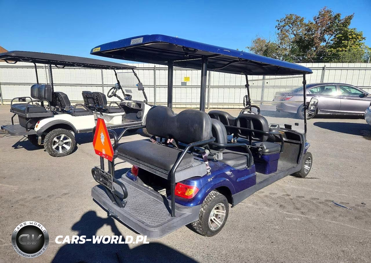 2022 Advanced Ev Golf Cart VIN:7LWDFAD0XN1078811 - 4