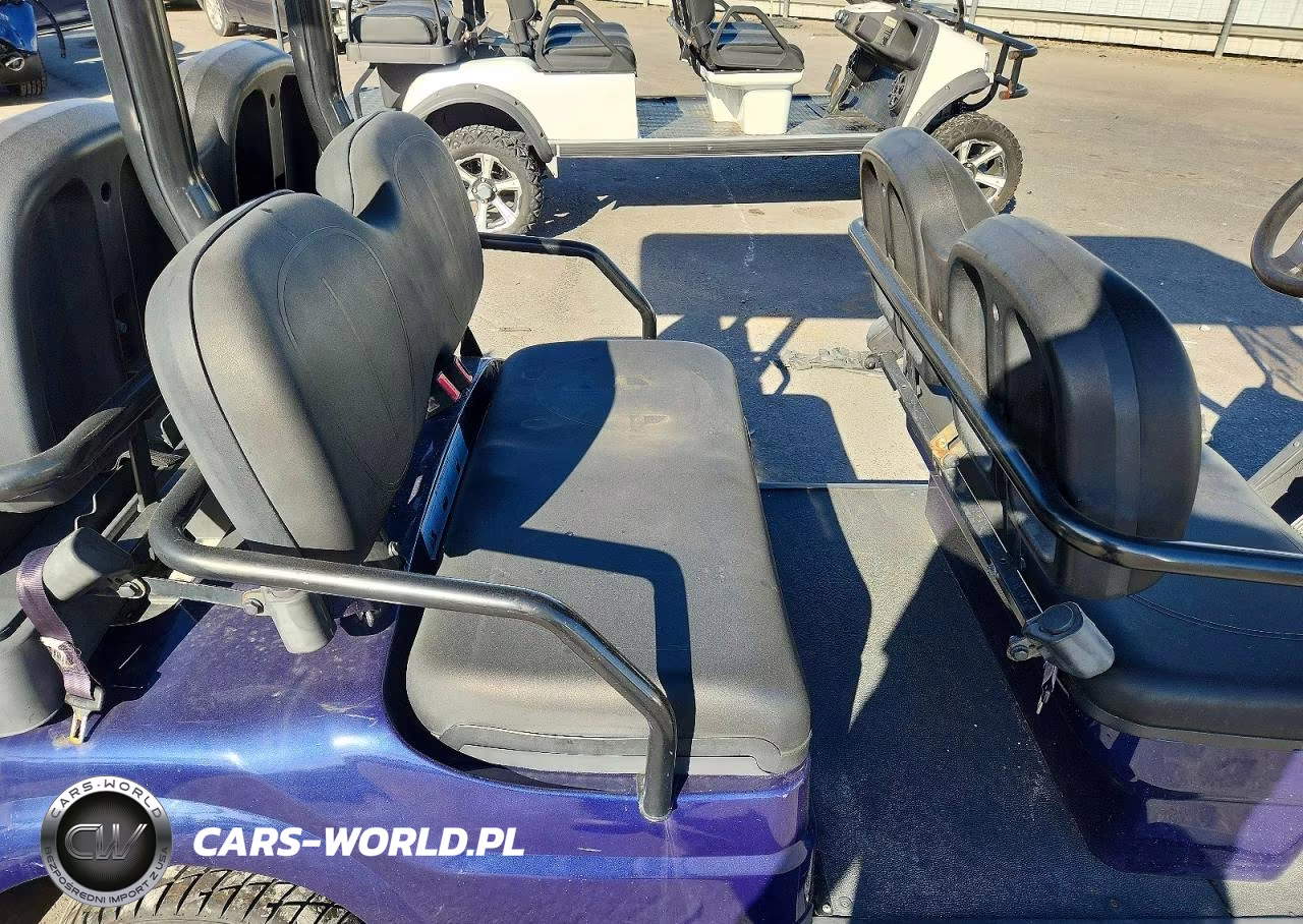2022 Advanced Ev Golf Cart VIN:7LWDFAD0XN1078811 - 6