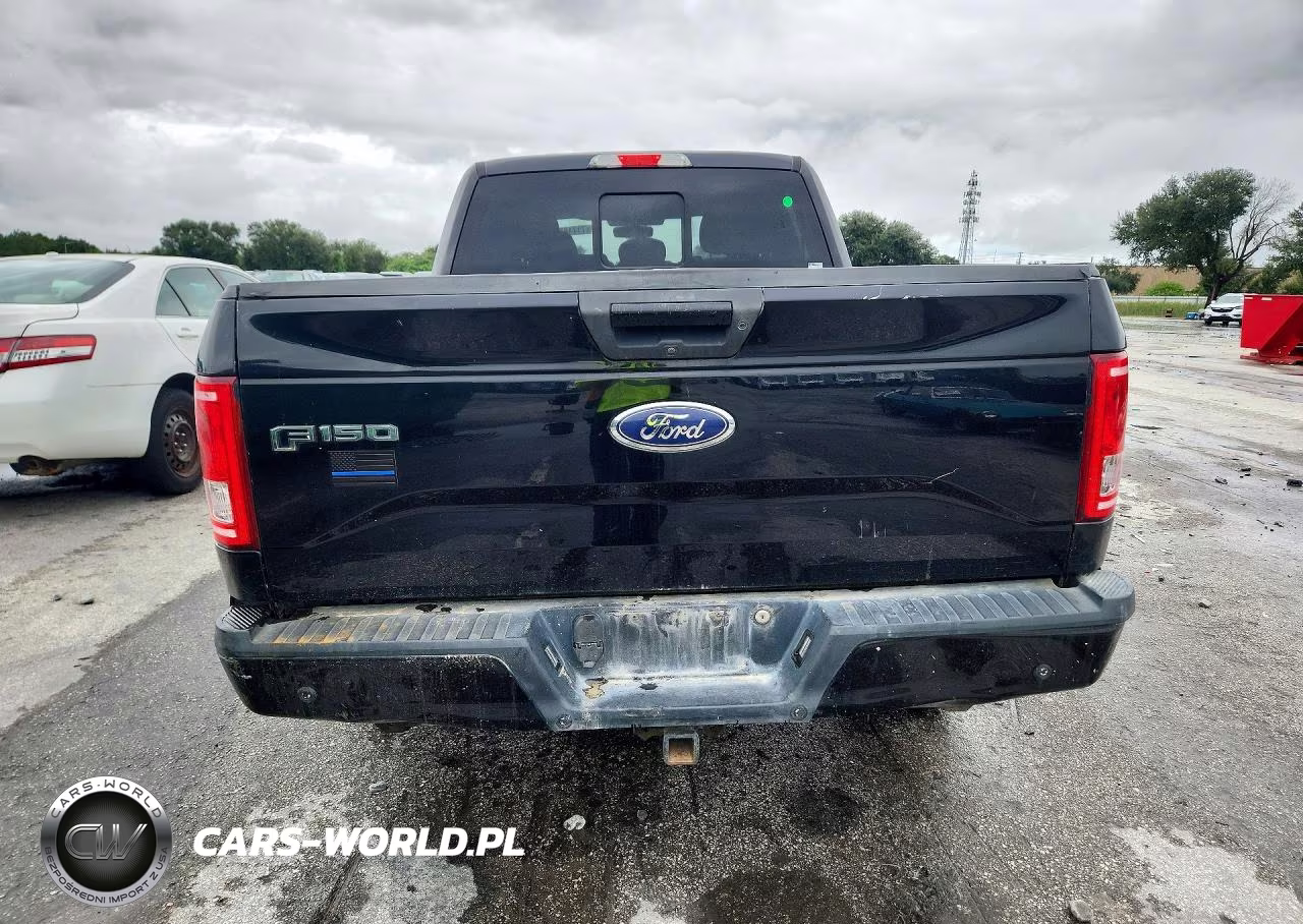 2016 Ford F150 Supercrew VIN:1FTFW1EG6GFA33869 - 6