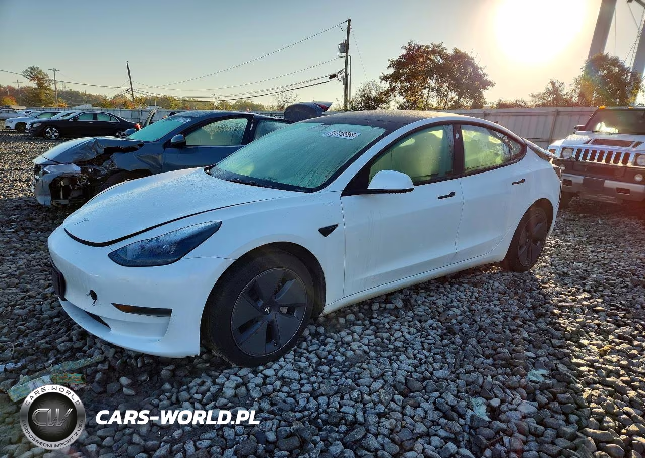 2023 Tesla Model 3