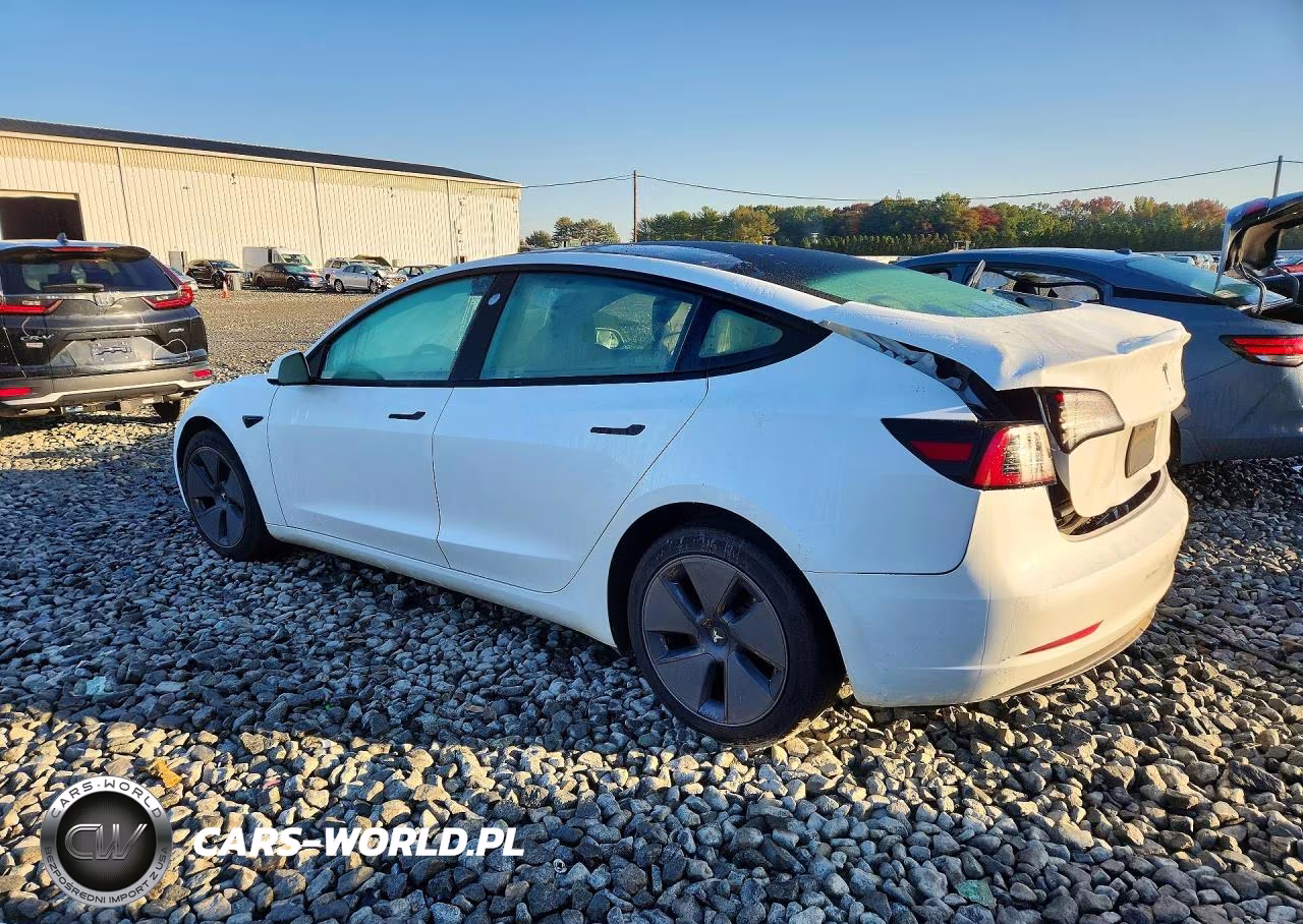 2023 Tesla Model 3 VIN:5YJ3E1EAXPF396214 - 2