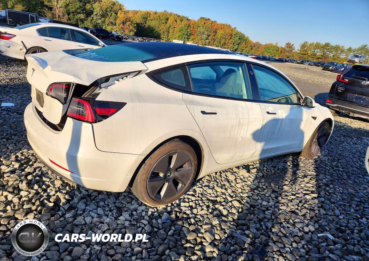 2023 Tesla Model 3 VIN:5YJ3E1EAXPF396214 - 3