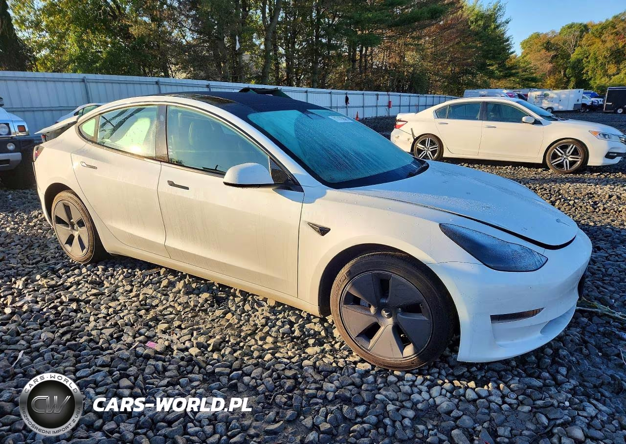 2023 Tesla Model 3 VIN:5YJ3E1EAXPF396214 - 4
