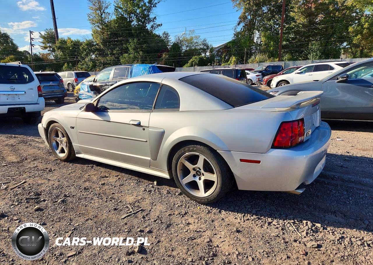 2003 Ford Mustang Gt VIN:1FAFP42X83F408597 - 2