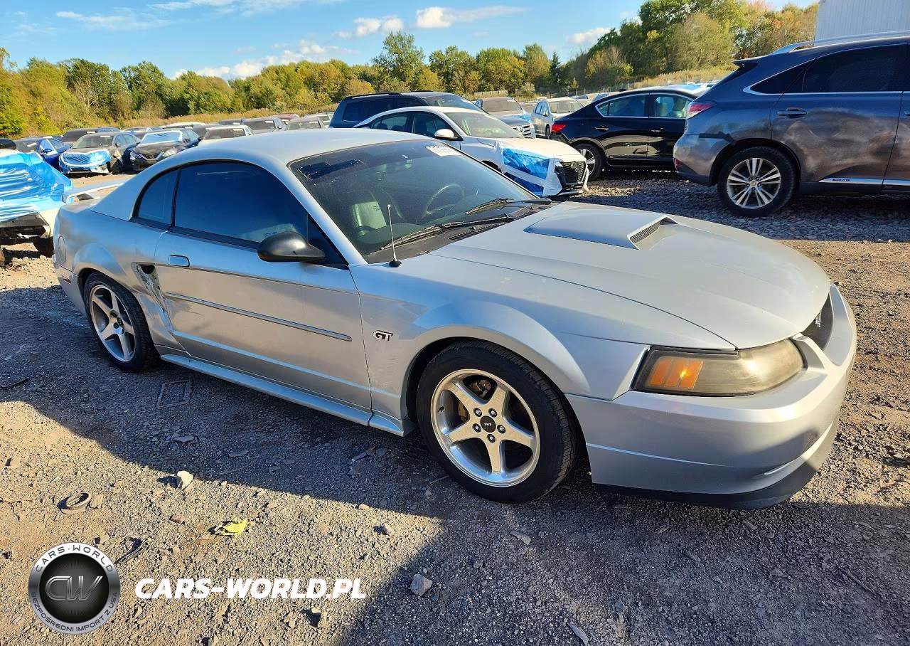 2003 Ford Mustang Gt VIN:1FAFP42X83F408597 - 4