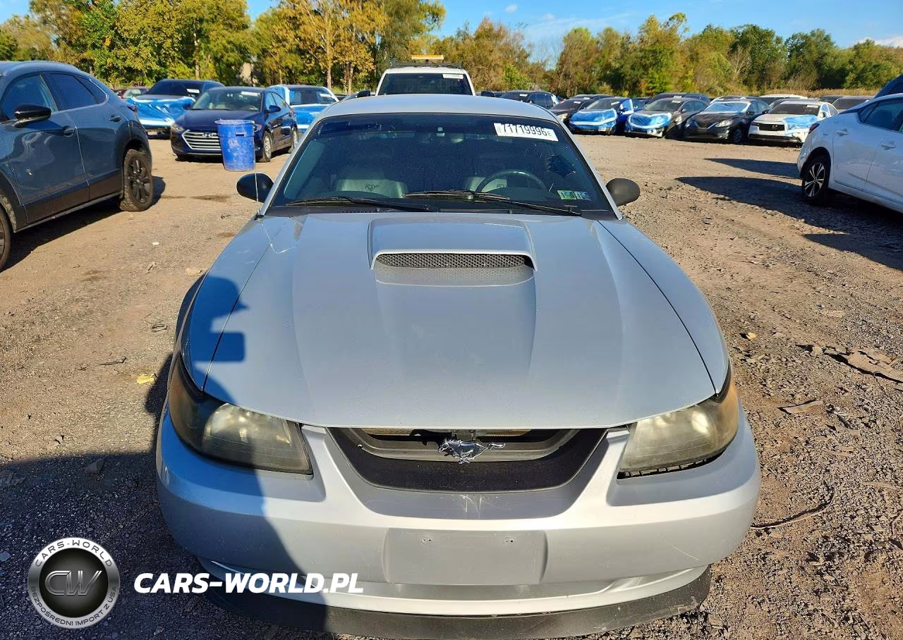 2003 Ford Mustang Gt VIN:1FAFP42X83F408597 - 5