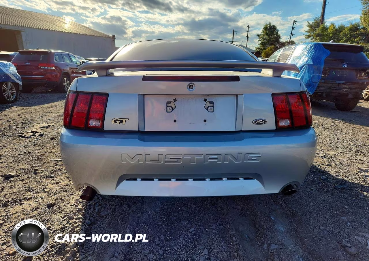 2003 Ford Mustang Gt VIN:1FAFP42X83F408597 - 6