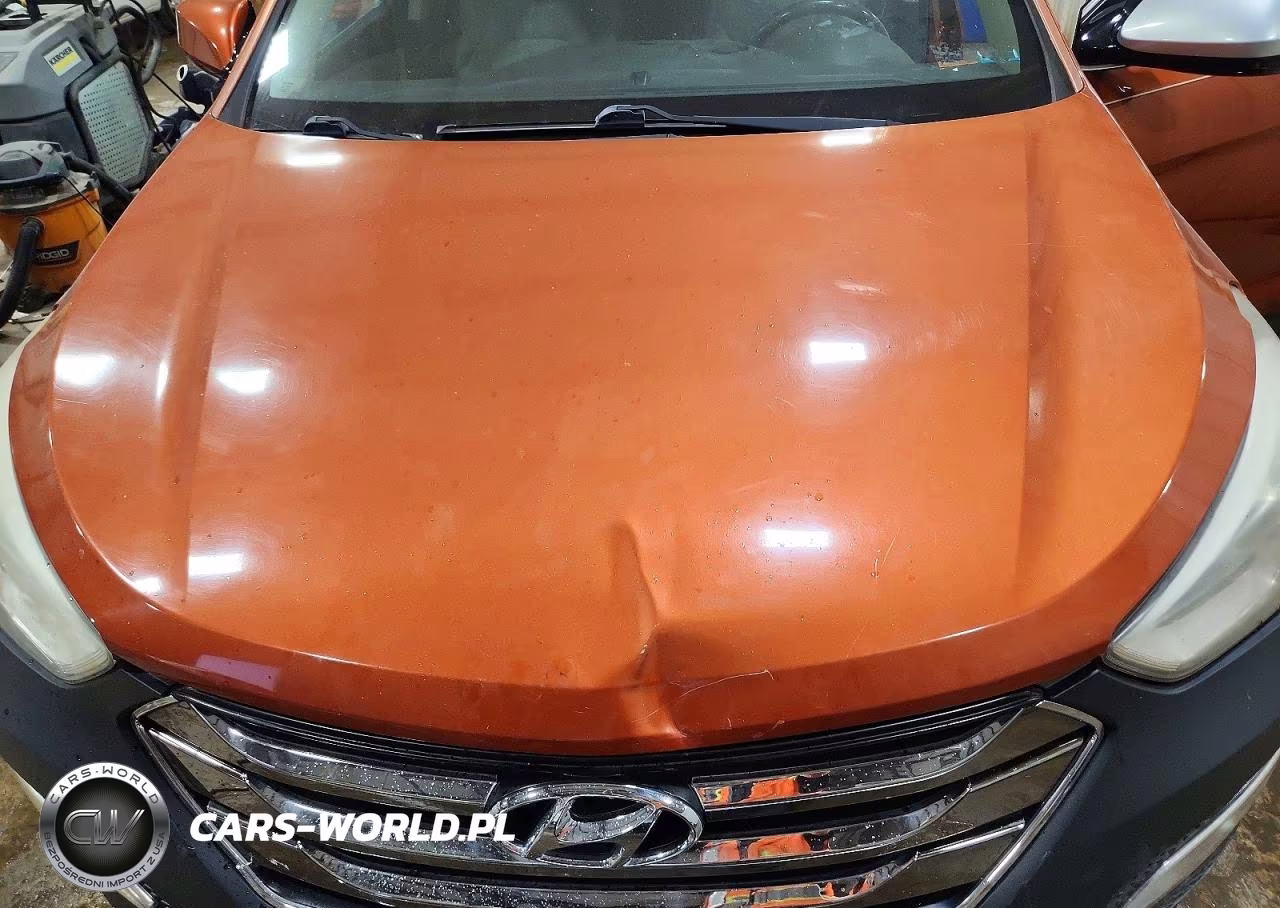 2013 Hyundai Santa Fe Sport 2.4L VIN:5XYZU3LBXDG040807 - 11