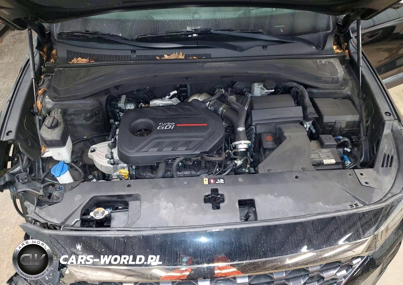 2020 Hyundai Santa Fe Limited 2.0T VIN:5NMS5CAAXLH195211 - 12