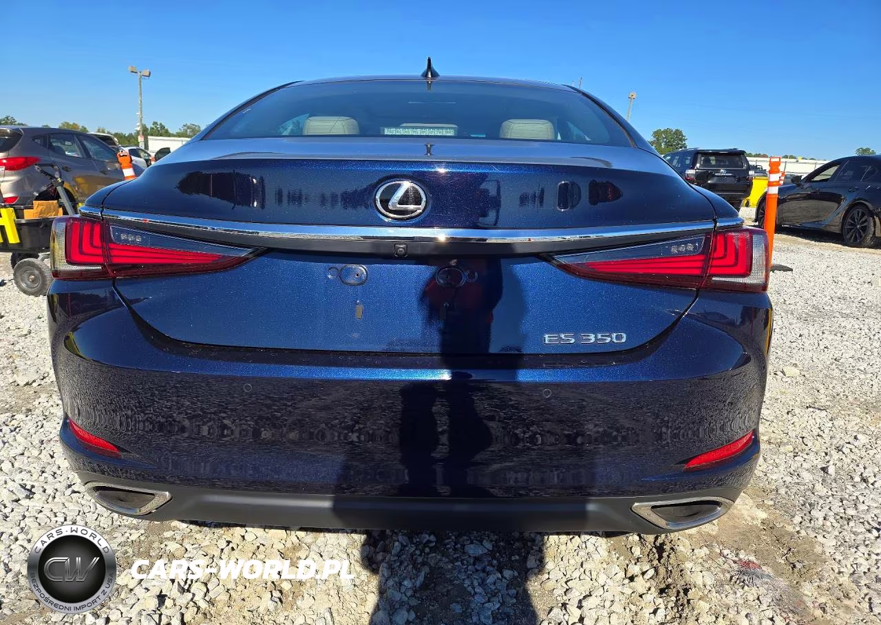 2019 Lexus Es 350 VIN:58ABZ1B18KU037453 - 6
