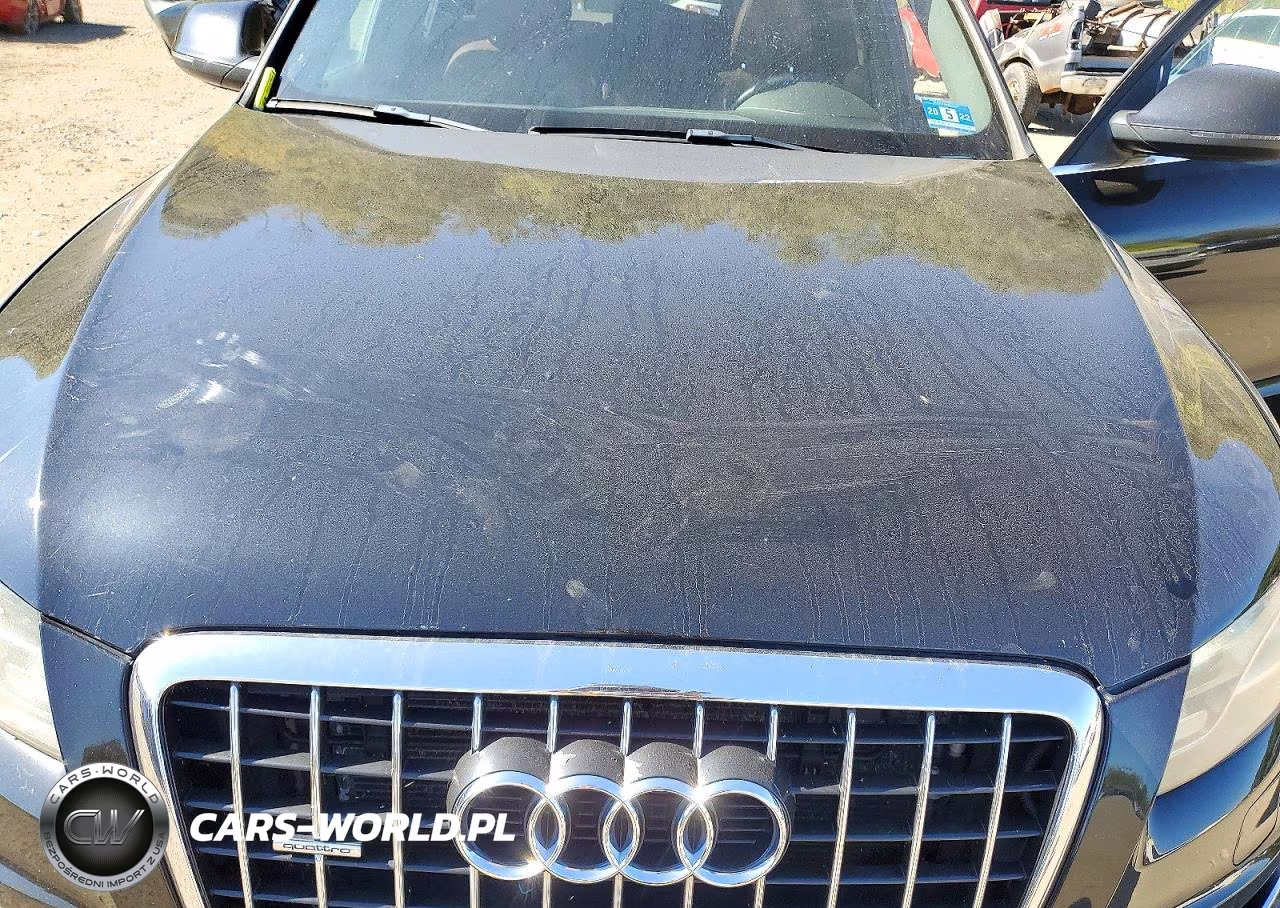 2011 Audi Q5 Premium Plus VIN:WA1DKAFPXBA013822 - 12