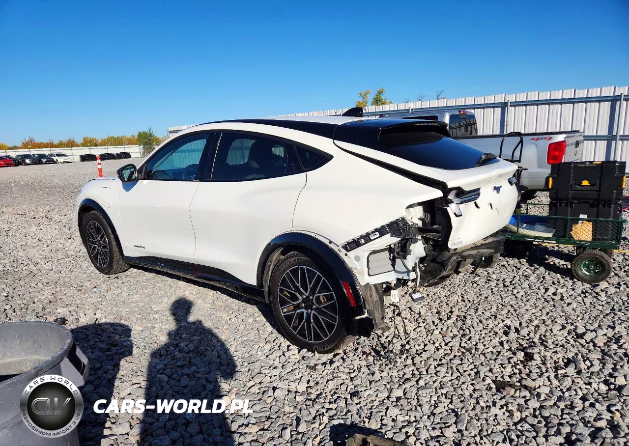 2024 Ford Mustang Mach-E Premium VIN:3FMTK3S58RMA14414 - 2