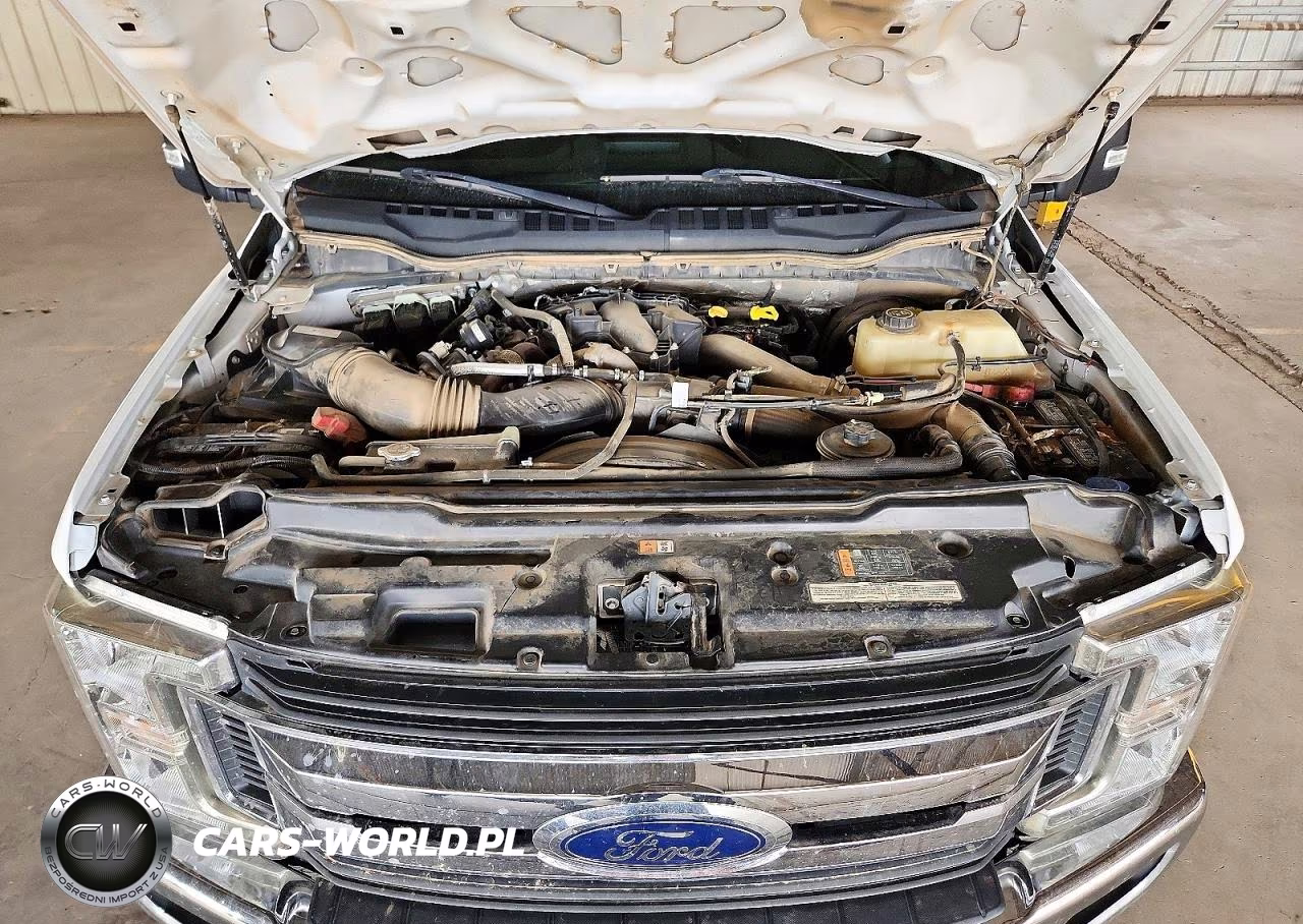 2019 Ford F250 Super Duty VIN:1FT7W2BTXKEG75666 - 11