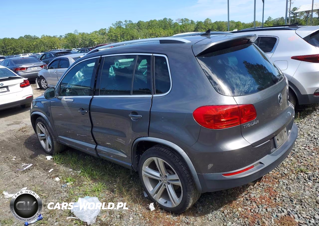 2014 Volkswagen Tiguan S VIN:WVGAV3AX9EW033839 - 2