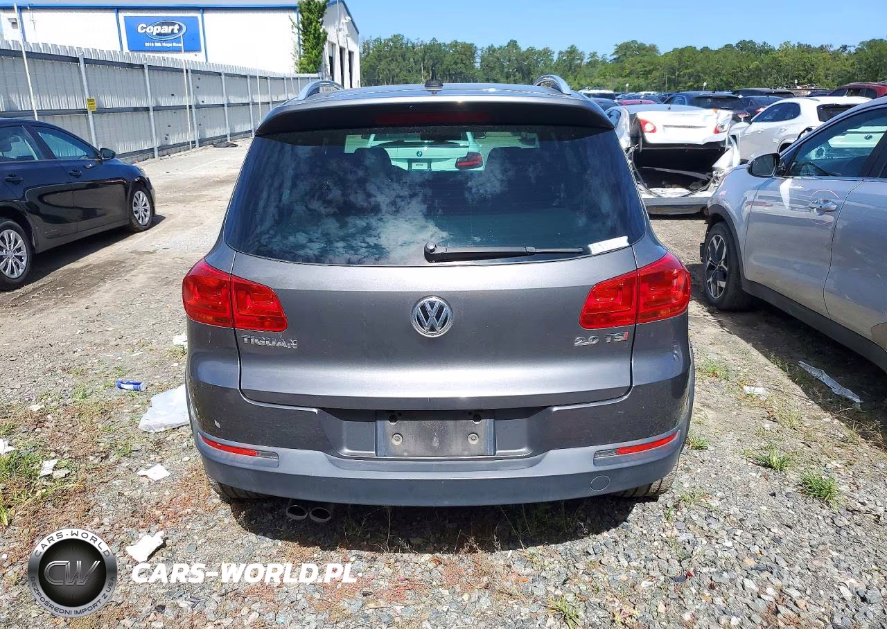 2014 Volkswagen Tiguan S VIN:WVGAV3AX9EW033839 - 6