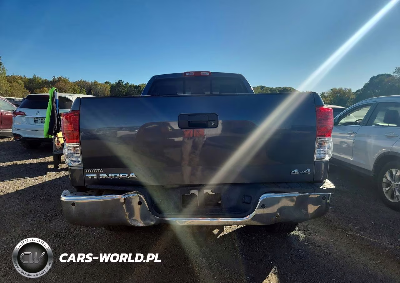 2010 Toyota Tundra Double Cab Limited VIN:5TFBY5F16AX110848 - 6