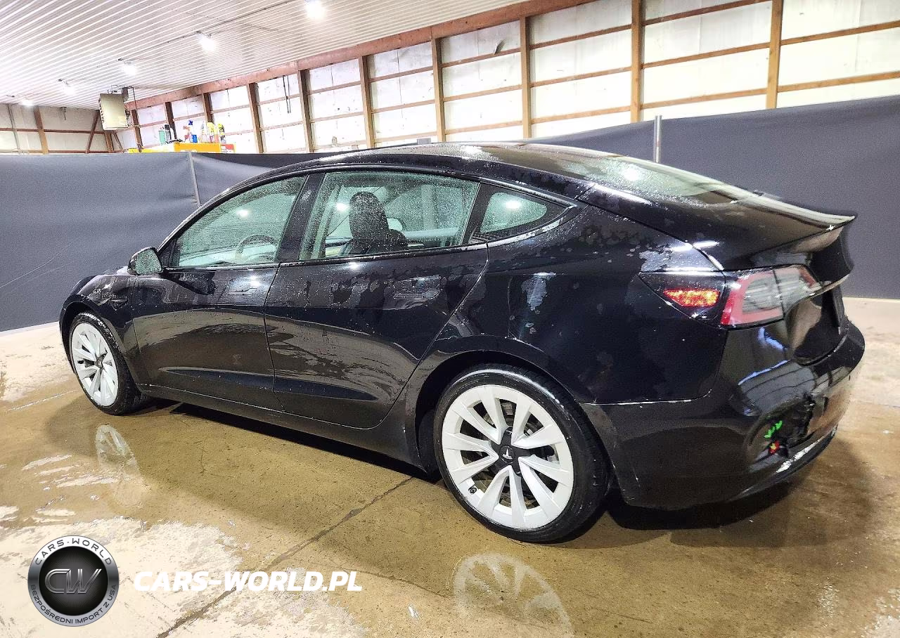 2022 Tesla Model 3 VIN:5YJ3E1EA3NF289972 - 2