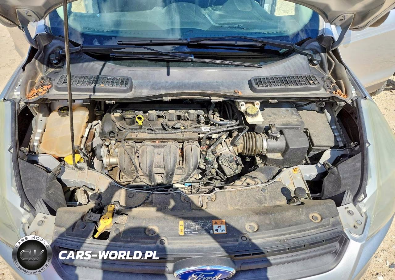 2014 Ford Escape S VIN:1FMCU0F72EUA55020 - 12