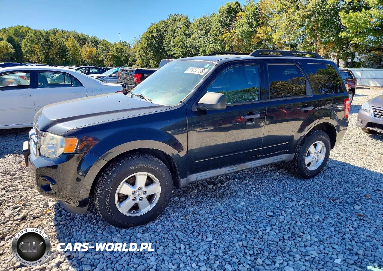 2010 Ford Escape Xlt