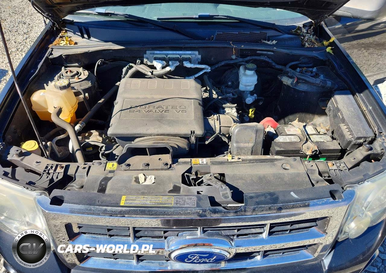 2010 Ford Escape Xlt VIN:1FMCU9DG7AKC65674 - 12
