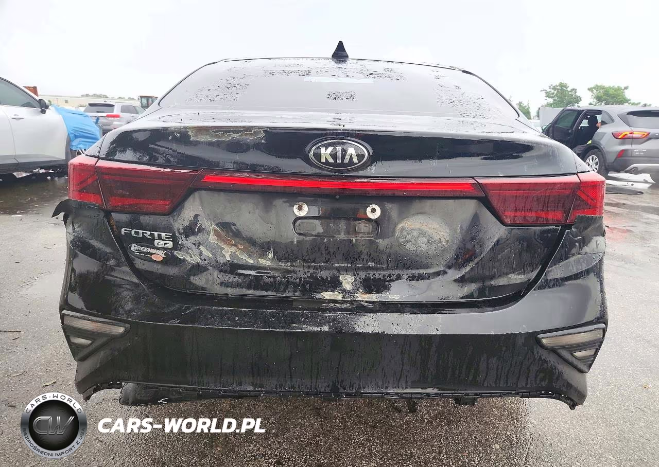 2020 Kia Forte Fe VIN:3KPF24AD7LE207834 - 6
