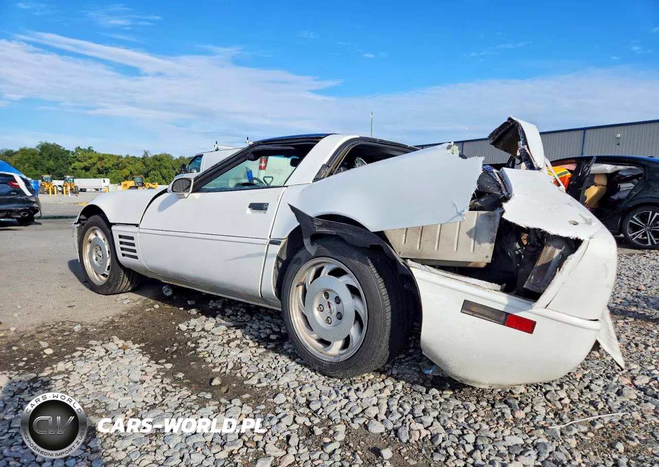 1994 Chevrolet Corvette VIN:1G1YY22P1R5116723 - 2