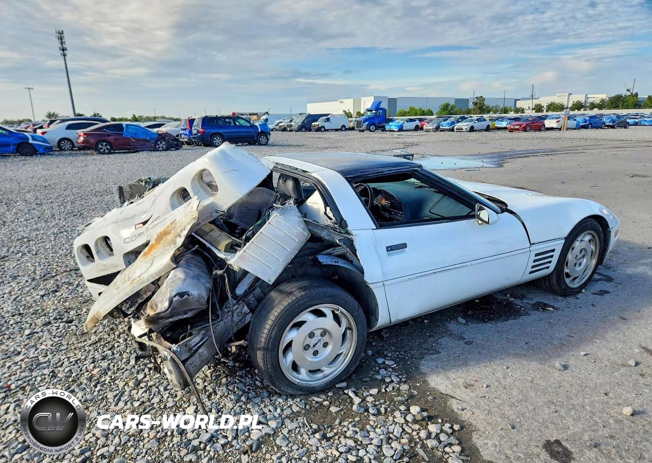 1994 Chevrolet Corvette VIN:1G1YY22P1R5116723 - 3