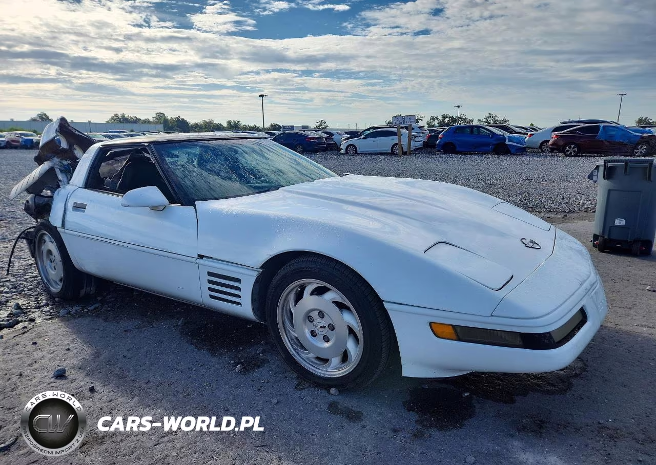 1994 Chevrolet Corvette VIN:1G1YY22P1R5116723 - 4