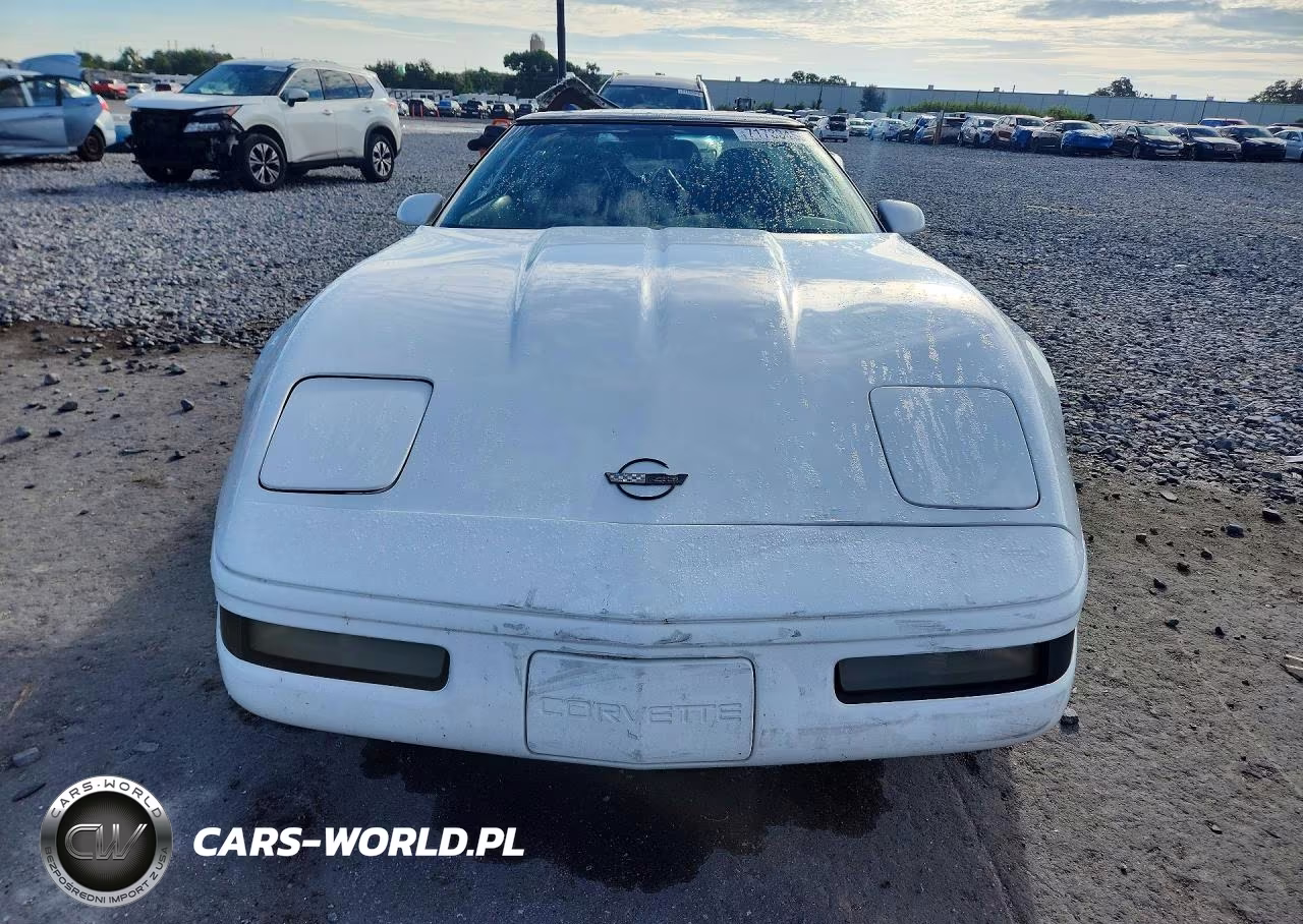 1994 Chevrolet Corvette VIN:1G1YY22P1R5116723 - 5