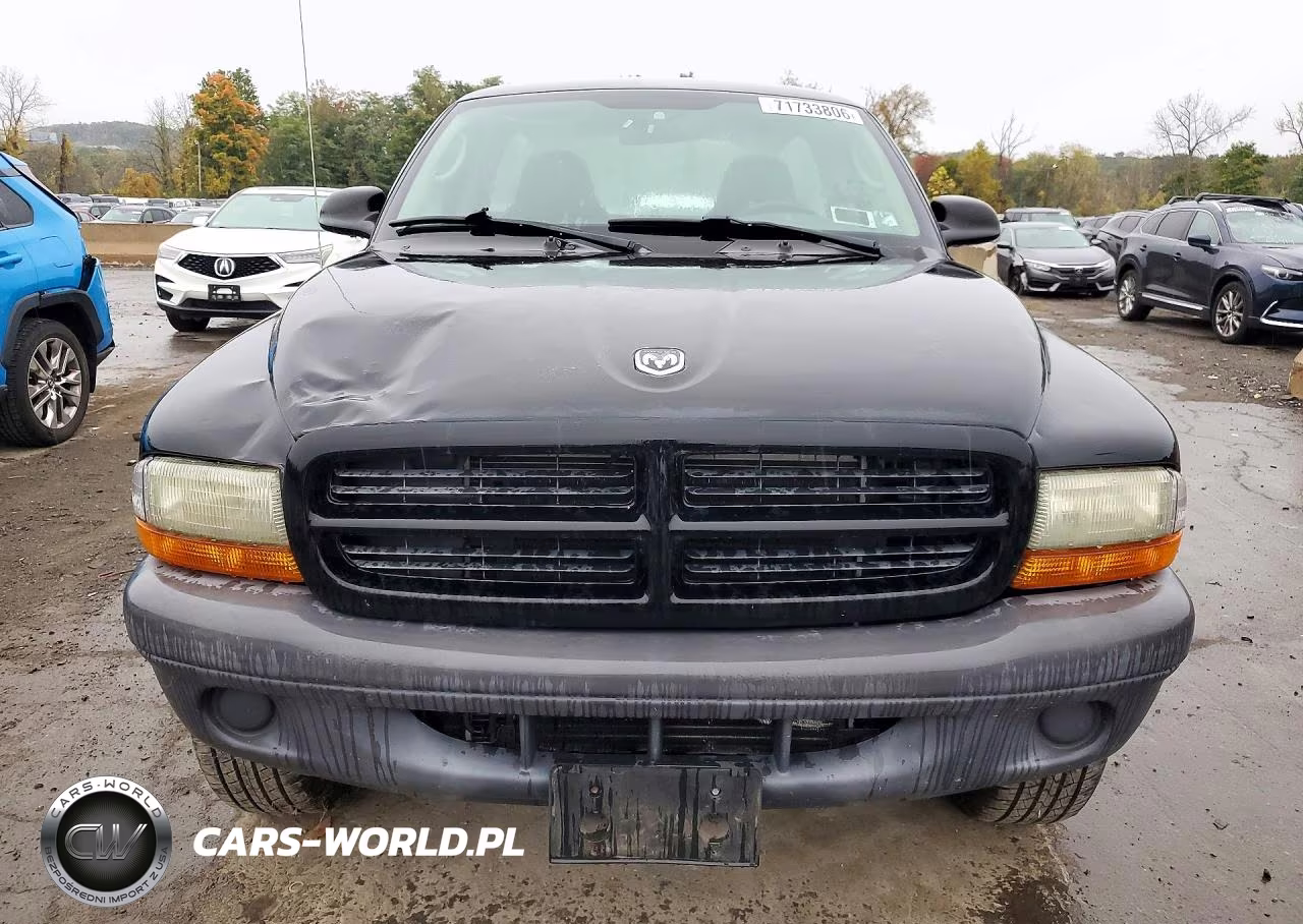 2003 Dodge Dakota Sxt VIN:1D7GG16X63S158491 - 5