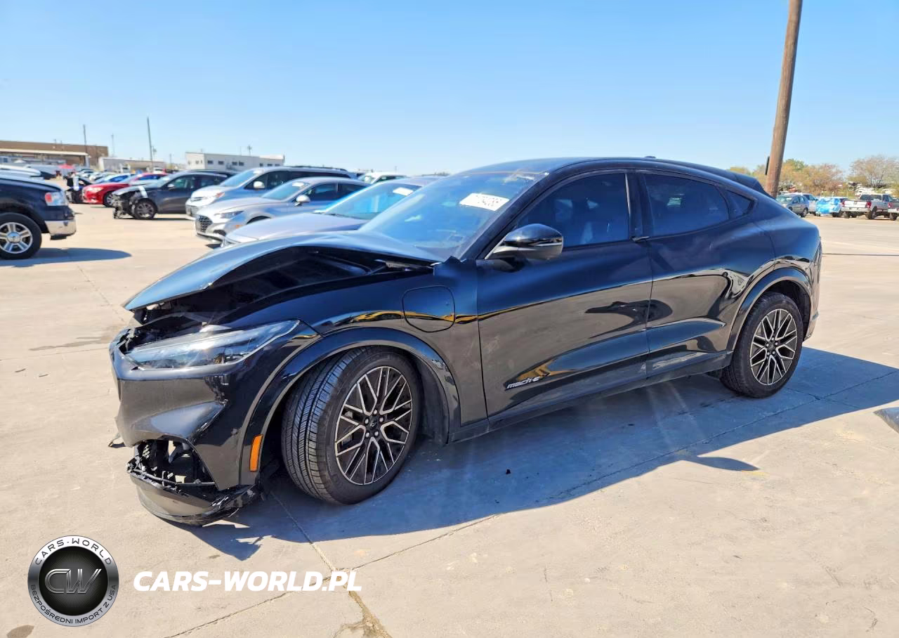 2024 Ford Mustang Mach-E Premium VIN:3FMTK3R71RMA32924 - 1
