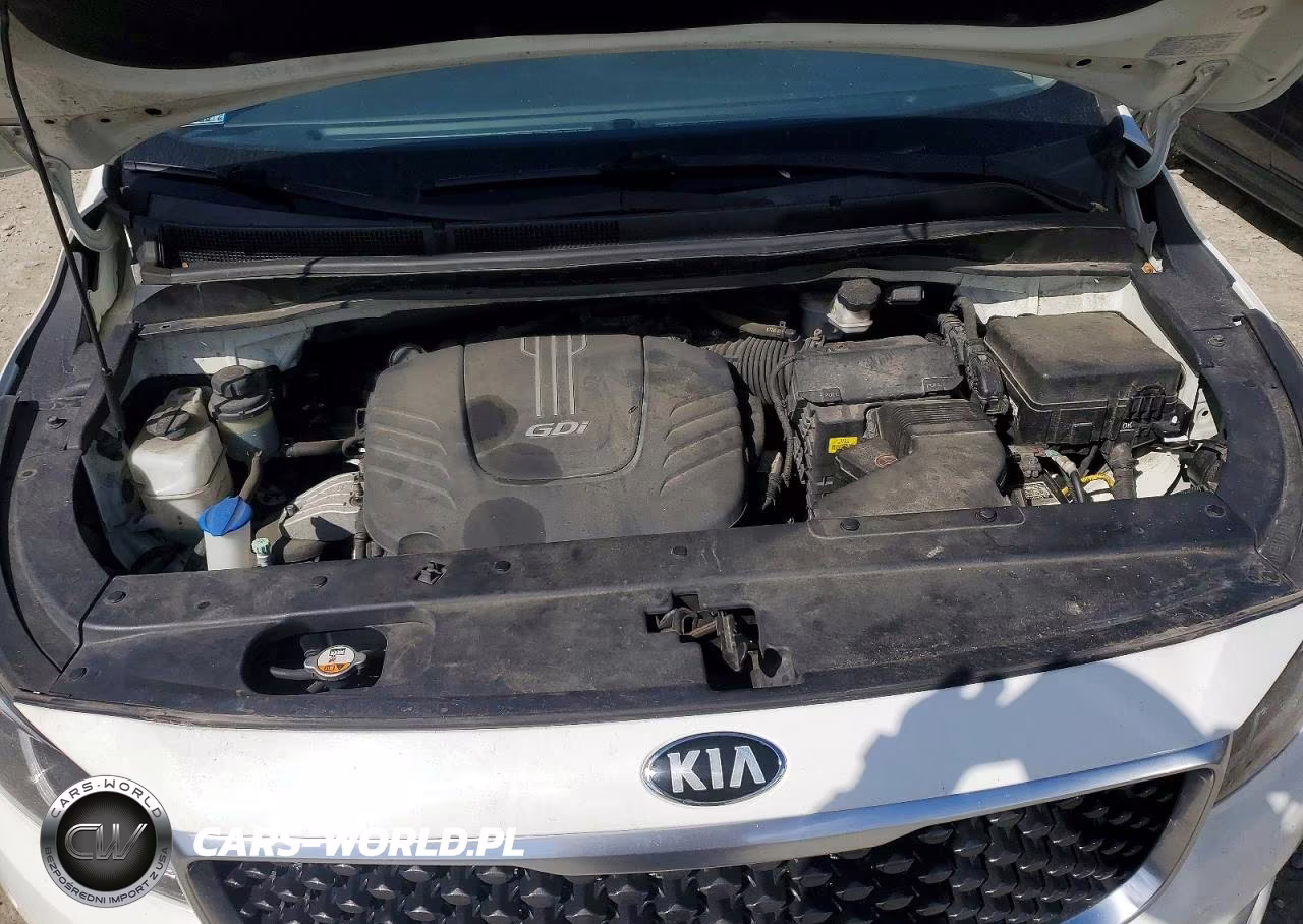2017 Kia Sedona Lx VIN:KNDMB5C13H6250161 - 12