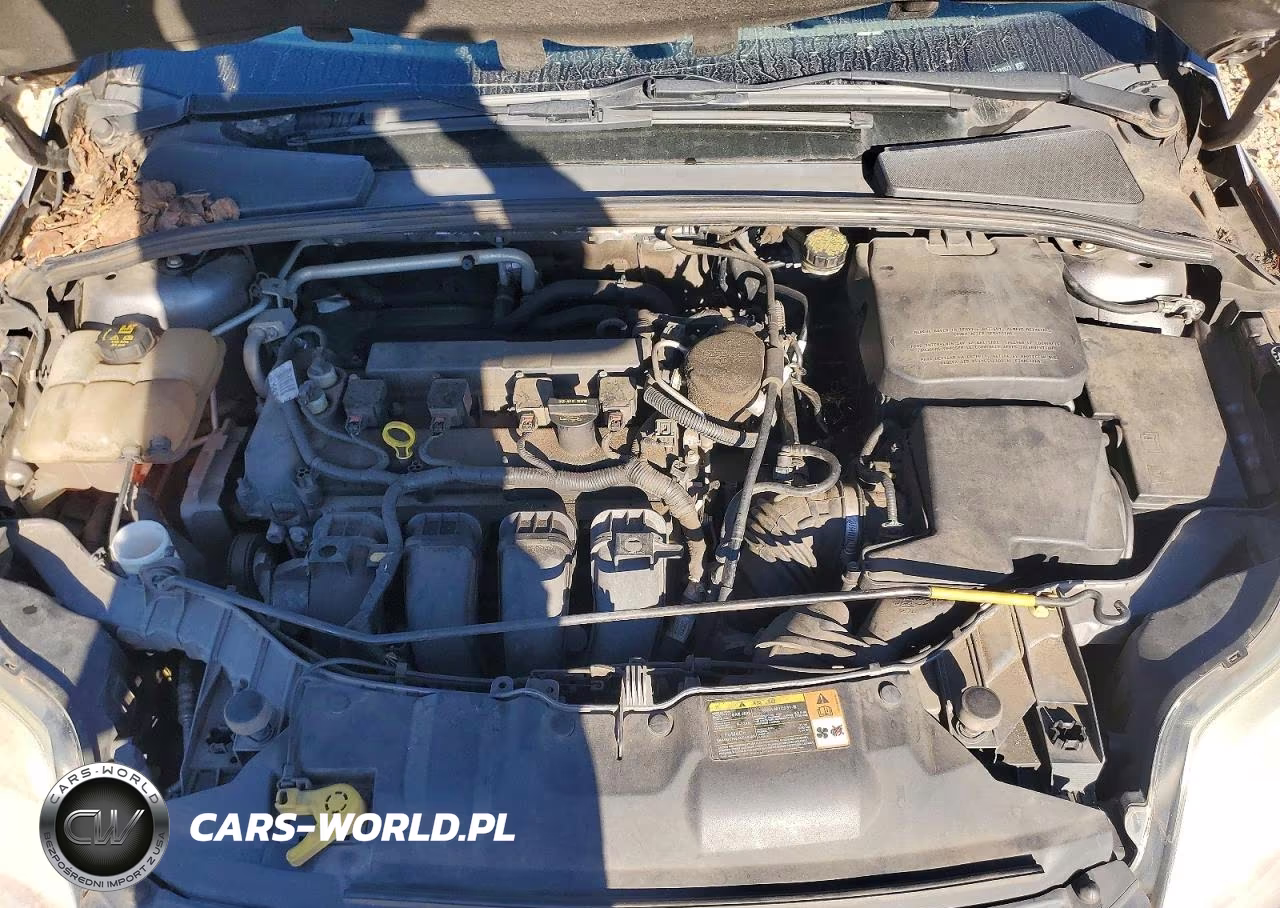 2014 Ford Focus Se VIN:1FADP3F20EL221973 - 11